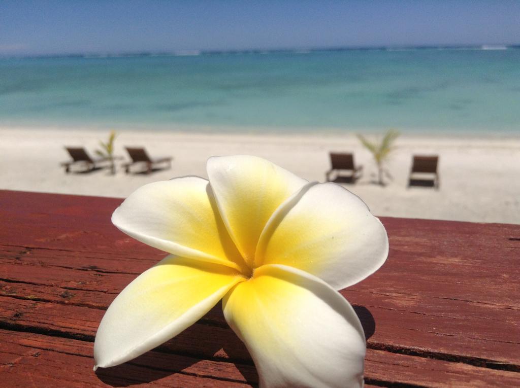 Aitutaki Seaside Villa Arutanga Eksteriør bilde